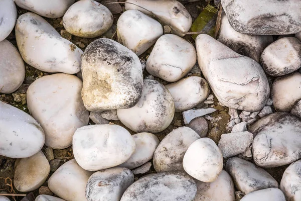 Круглі Морські Камені Березі — стокове фото