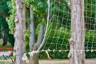 Orman arka plan karşı Ilişkili voleybol net.