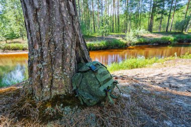 Küçük yürüyüş sırt çantası orman nehri boyunca kıyısında eski bir çam ağacının solunda yatıyor.