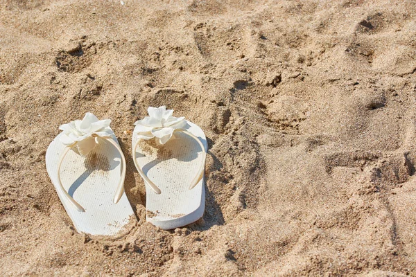 Vita kvinnliga örfilar ligger på sandstrand havet. — Stockfoto