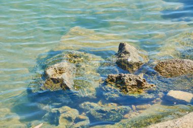 Sahil mavi deniz yakınında keskin taşlarla döşenmiştir.