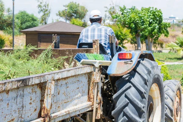 Strana, Turecko-červen 02, 2018: starý řidič traktoru v čepici a na venkově v košili za volantem má v košíku posekaný trávník. — Stock fotografie
