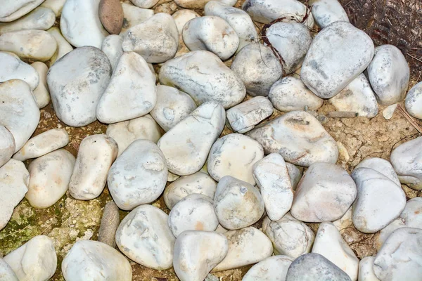 Velhas pedras junto ao mar . — Fotografia de Stock