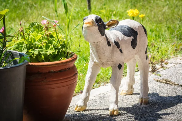 Pequeño ternero decorativo con cabeza elevada cerca de maceta en la acera de la calle . — Foto de Stock