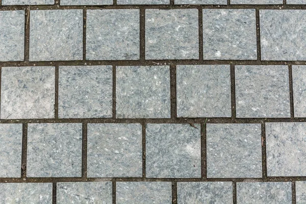 Square paving slabs. The background.