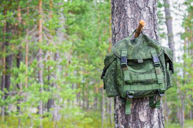 Küçük yürüyüş sırt çantası yaz ormanda çam ağacının ahşap düğüm ağırlığında.