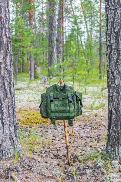 A small green hiking backpack is suspended bystrap on thin wooden stick between two pine trees in summer forest. — Stock Photo, Image