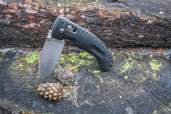 Składany czarny nóż zatrzymany w dzienniku obok szyszki sosny w lesie. — Zdjęcie stockowe