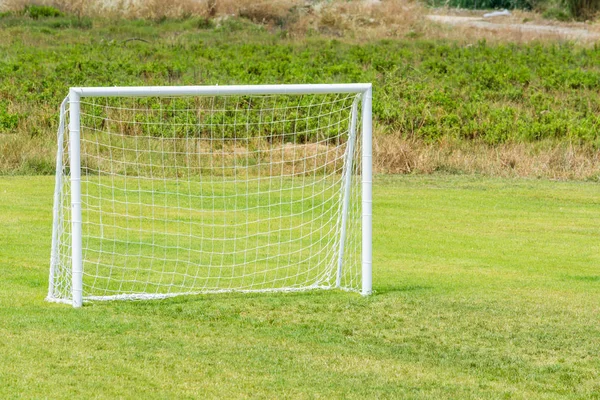 足球进球与网在绿草地上玩. — 图库照片