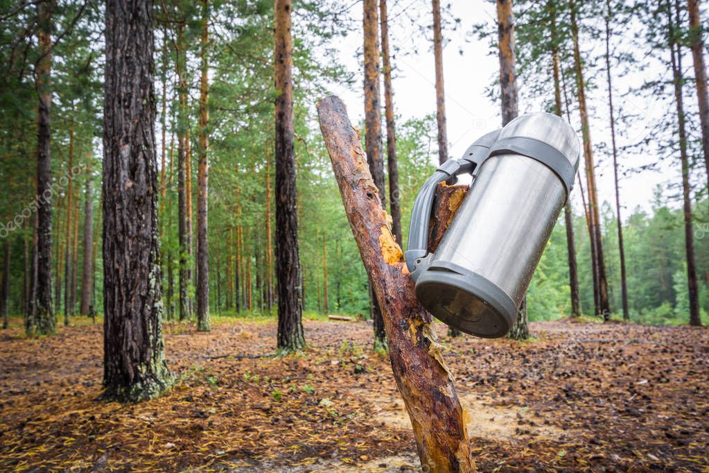Wet camping thermos for hot tea or coffee hanging on stick in forest.