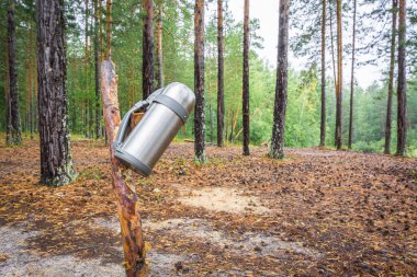 Sıcak çay veya kahve için Isliç kamp termos ahşap sopa ve ormanda kurur asılı.