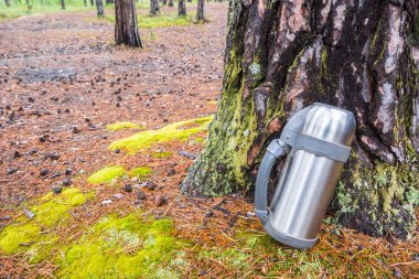 Sıcak çay veya kahve için hacimli bir yürüyüş termos ormanda bir çam ağacı nın yanında yerde duruyor.