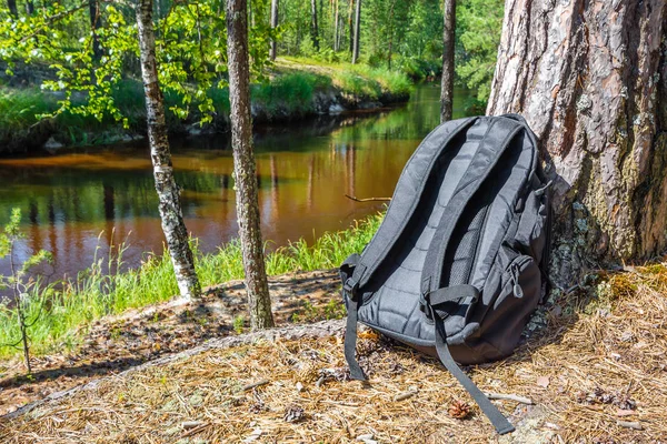 Black leisure sport backpack with straps is leaning against tree on ground in woods against background of river under sun in summer. — Stock Photo, Image