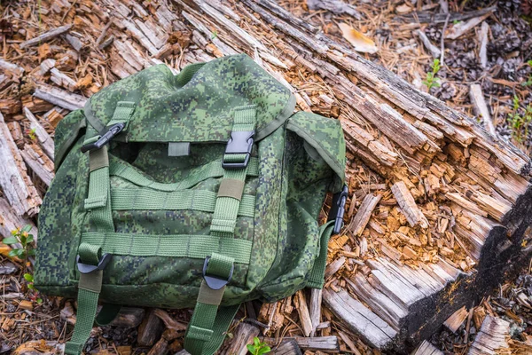 Green hiking backpack lies on rotten pine tree in summer forest.