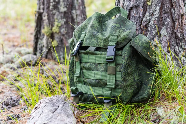 Un sac à dos à des fins sportives est boutonné sur le bord de la forêt verte à côté de pin . — Photo