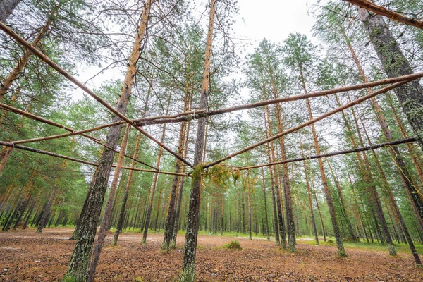Készült erdei malom fenyő rönkök a pihenésre az erdőben. — Stock Fotó