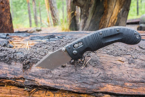 Czarny nóż myśliwski utknął w sosny Zaloguj się na tle lasu. — Zdjęcie stockowe