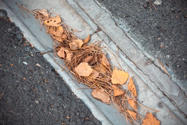 Осіннє сухе листя падає з дерев лежить дренажний канал для води . — стокове фото