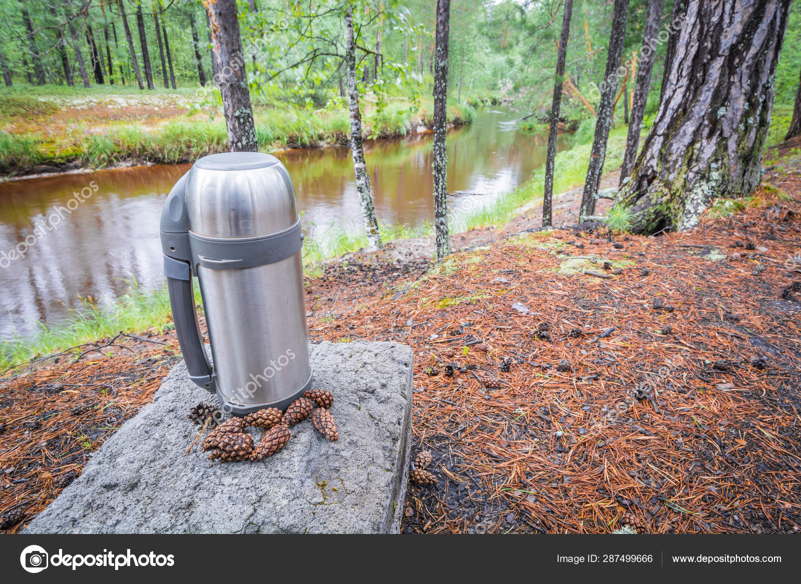 Hiking thermos for hot tea or coffee is on stone overlooking taiga river in  forest. Stock Photo by ©Tagwaran 287499666