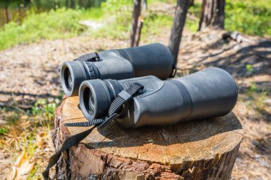 Güneşli bir günde ormanda kütük üzerinde normal dürbün.