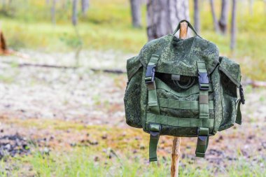 Küçük bir yeşil sırt çantası yaz orman arka plan karşı ince ahşap sopa asılı.