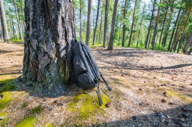Siyah renkli bir yürüyüş için sırt çantası güneşli yaz ormanlarında nehir kıyısında duruyor..