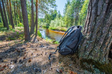 Sporty black backpack for resting lies on bank of river near tree in forest on summer day. clipart