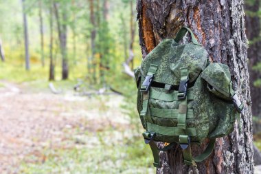 Zam için yeşil sırt çantası kuru orman yolunun arka planında uzun ağaç gövdesi üzerinde kolu ile askıya alınır.
