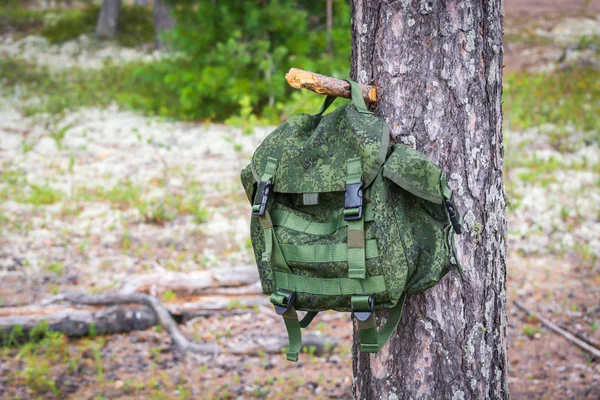 绿色徒步旅行背包在松树夏季森林的树干上悬挂在树钩上. — 图库照片