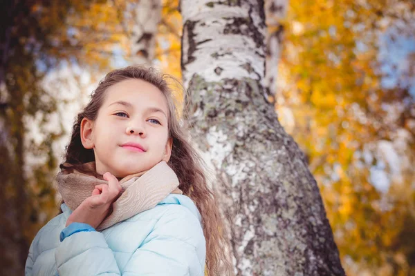 Schönes Porträt eines jungen Mädchens mit langen Haaren in blauer Daunenjacke an einem Herbsttag an der Birke. — Stockfoto