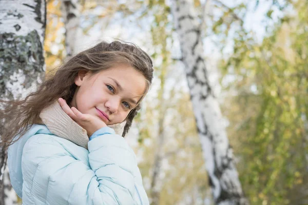 秋の日にバーチで青いダウンジャケットで長い髪を持つ若い女の子の美しい肖像画. — ストック写真
