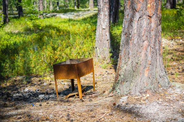 Ormanda çam ağacıyanında şiş kebap için paslı demir brazier.
