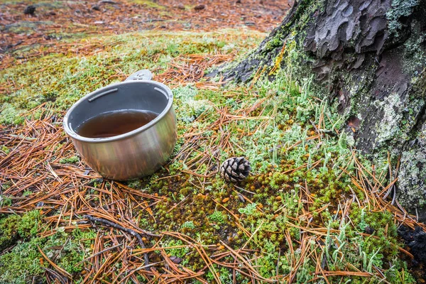 Κούπα θερμός με μαύρο τσάι σε πράσινα βρύα με πευκοβελόνες κοντά σε δέντρο στο δάσος. — Φωτογραφία Αρχείου