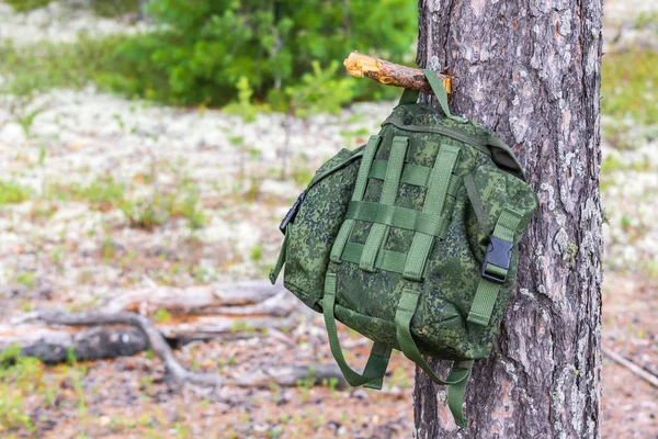 Sac à dos touristique vert est accroché sur le noeud de bois foncé et en forêt sèche d'été sur fond d'arbres tombés . — Photo