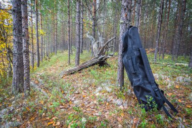 Sonbahar ormanormanorman yolu üzerinde seyahat için büyük uzun boylu siyah çanta.