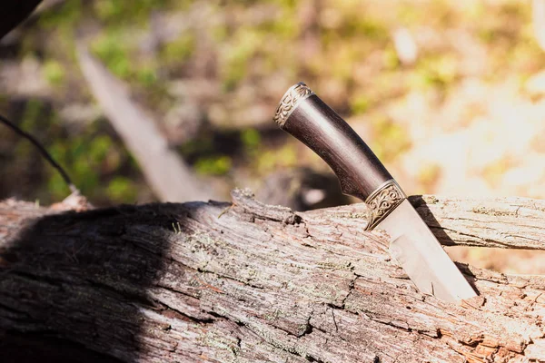 Длинный нож для походов и путешествий застрял на упавшем дереве в лесу . — стоковое фото