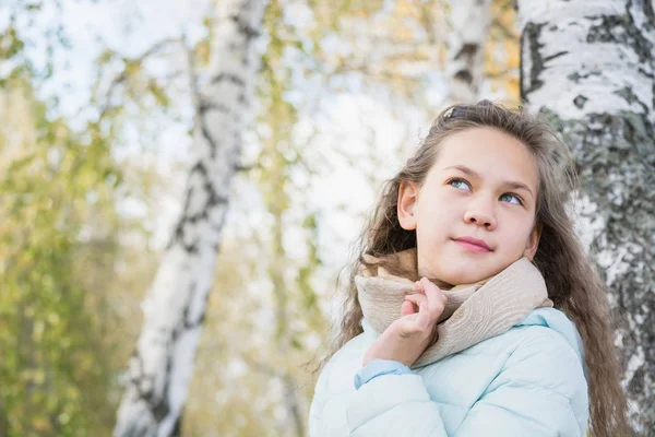 Όμορφο πορτρέτο του νεαρού κοριτσιού με μακριά μαλλιά στο μπλε κάτω μπουφάν στο σημύδα την ημέρα του φθινοπώρου. — Φωτογραφία Αρχείου