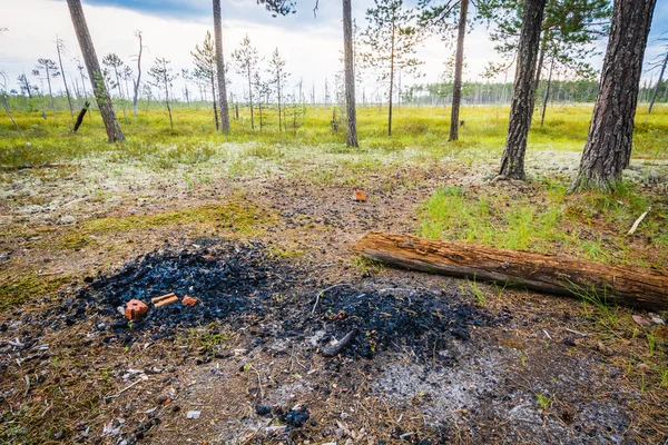 Zwarte kolen achtergelaten na de brand in bos tegen de achtergrond van het groene moeras. — Stockfoto