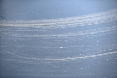 Ördek otu ile kirli su birikintisi.