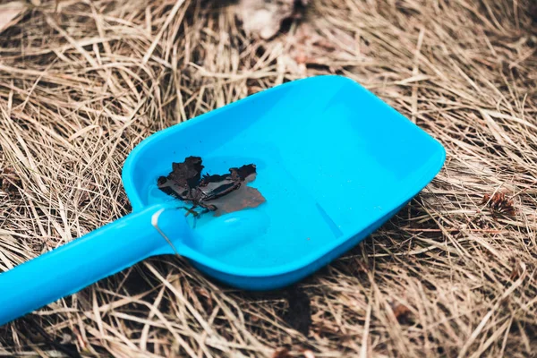 Crianças brinquedo pá azul para o jogo e desenvolvimento de crianças na grama . — Fotografia de Stock