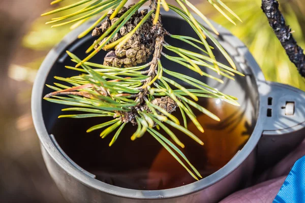 Caneca de chá de garrafa térmica com chá para aquecer em uma viagem de caminhadas em pinheiros na floresta . — Fotografia de Stock