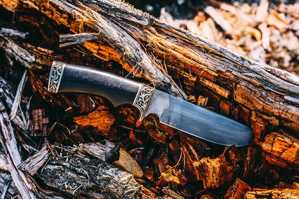 Długi nóż do wędrówek i podróży zatrzymany w upadłych drzew w lesie. — Zdjęcie stockowe