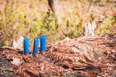 Ormanda avlandıktan sonra devrilen ağaca boş kartuşlar attı.