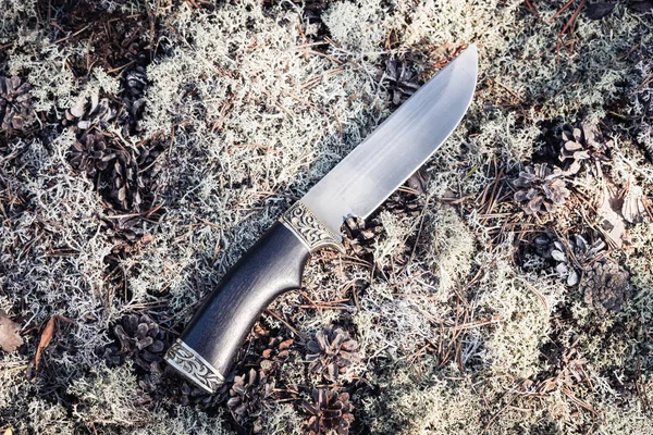 Duży nóż do produktów na mchu w lesie. — Zdjęcie stockowe