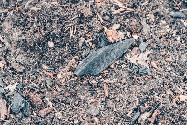 Black coal from fire lies on ground in garden to fertilize the soil. — Stock Photo, Image