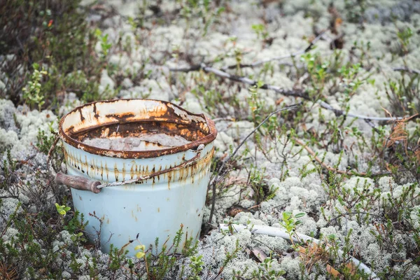 Άδειος σκουριασμένος κουβάς για νερό στο δάσος στα βρύα. — Φωτογραφία Αρχείου