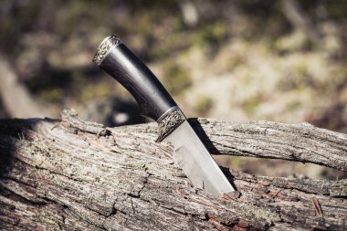 Ormanda devrilen ağaçta mahsur kalan yürüyüş ve seyahat için uzun bıçak.