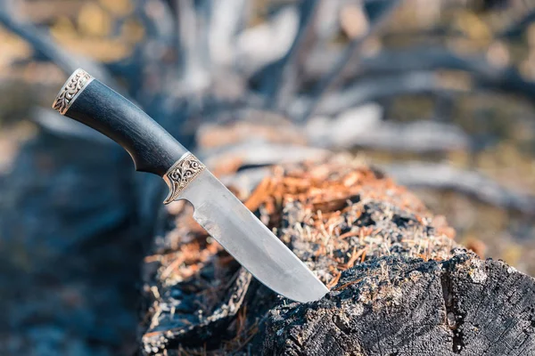 Μακρύ μαχαίρι για πεζοπορία και ταξιδεύοντας κολλημένα σε πεσμένο δέντρο στο δάσος. — Φωτογραφία Αρχείου