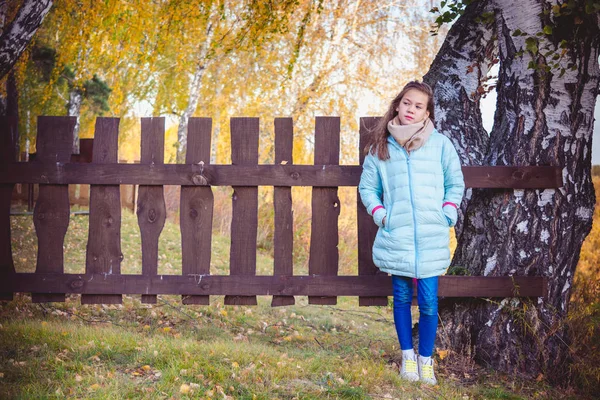 Charming girl with long hair in scarf and blue down jacket stands at the fence nailed to birch in the village on an autumn day. — Stock Photo, Image