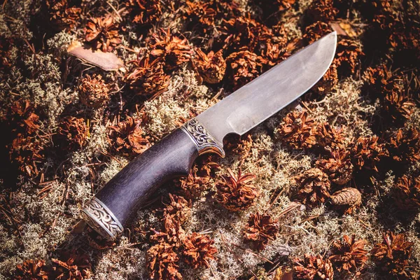 Coltello da caccia per tagliare muschio con pigne nel bosco . — Foto Stock